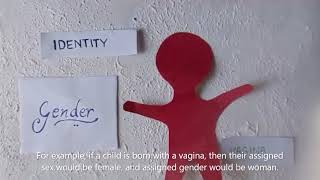 Understanding Gender Video Thumbnail